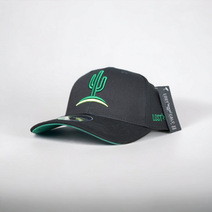 Cactus Curve