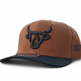 Brown Swiss Curve