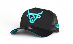 Black Lagoon A-Frame