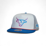 Tornasol White/Blue