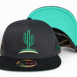 Cactus Flat