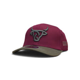 Maroon/Grey Curve