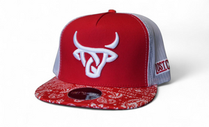 Red Bandana Flat