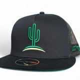 Cactus Flat